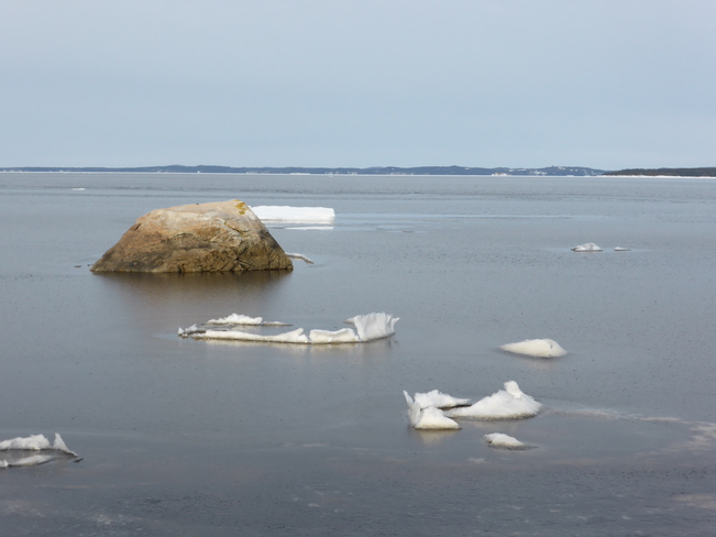 Ice Birchy Bay, Newfoundland and Labrador Canada