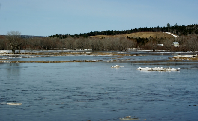Flooting Ice Burg Saint John, New Brunswick Canada