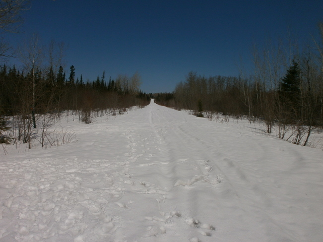 Snow trail South Porcupine, Ontario Canada