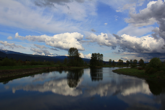Reflections on the Alouette River Pitt Meadows, British Columbia Canada