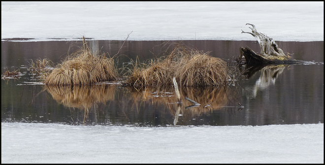 Sheriff Creek pond melting slowly. Elliot Lake, Ontario Canada