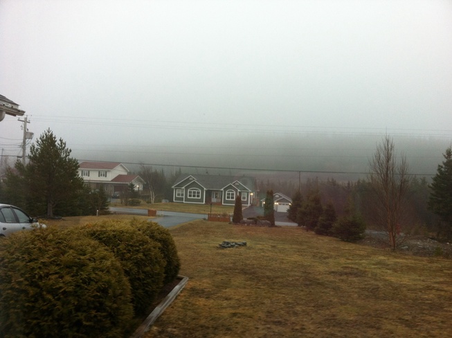 fog Carbonear, Newfoundland and Labrador Canada