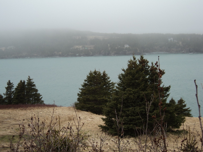 A Grey Foggy Day Carbonear, Newfoundland and Labrador Canada