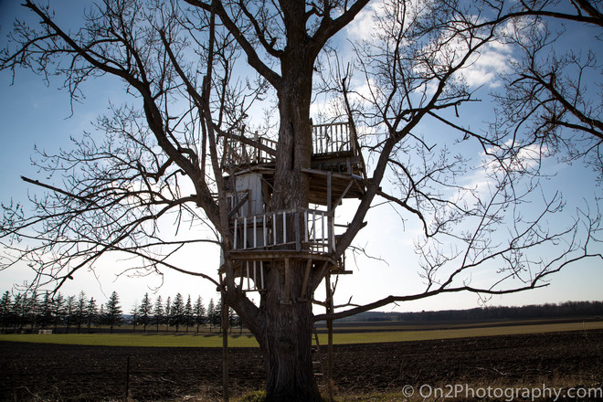 Tree House St. Clements, Ontario Canada