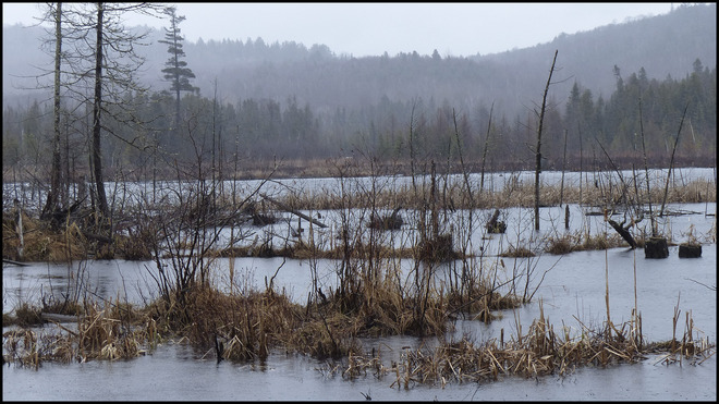 Rainy day at Sheriff Creek. Elliot Lake, Ontario Canada