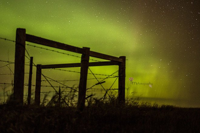 northern lights Weyburn No. 67, Saskatchewan Canada