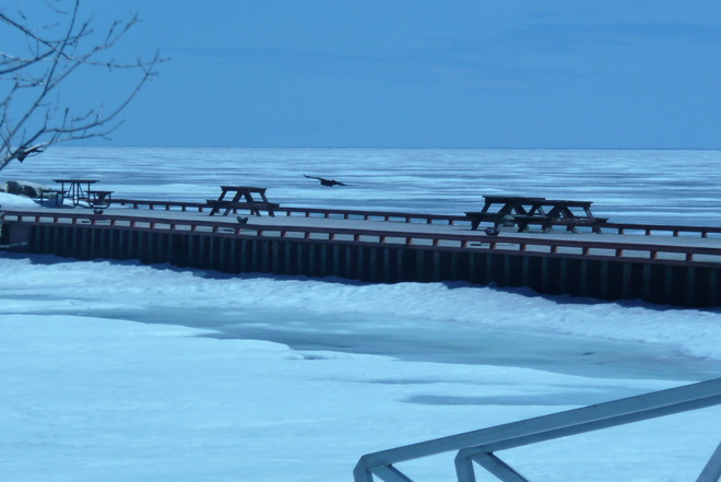 "ICE" FISHING Hecla, Manitoba Canada