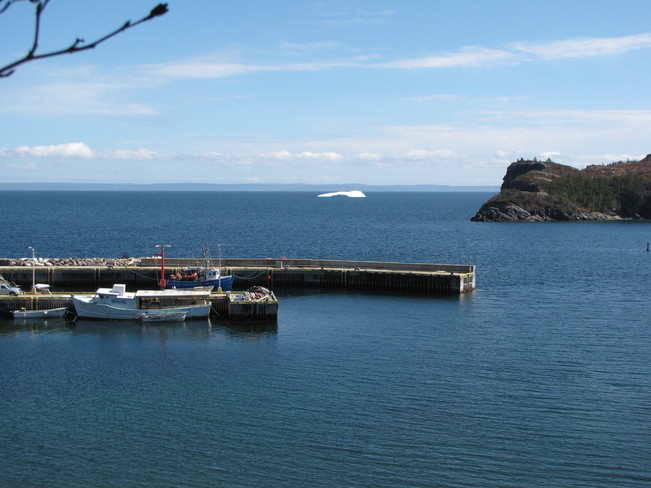 Icebergs in Trinity Bay Clarenville-Shoal Harbour, Newfoundland and Labrador Canada