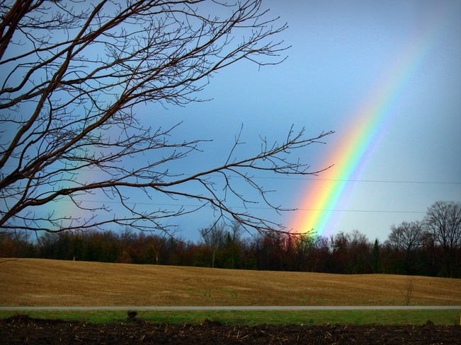 Rainbow Bright! (but short) Brussels, Ontario Canada