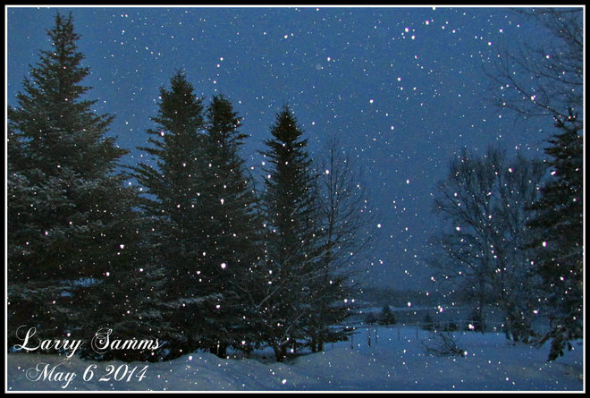 "Snowy Morning In May" Springdale, Newfoundland and Labrador Canada