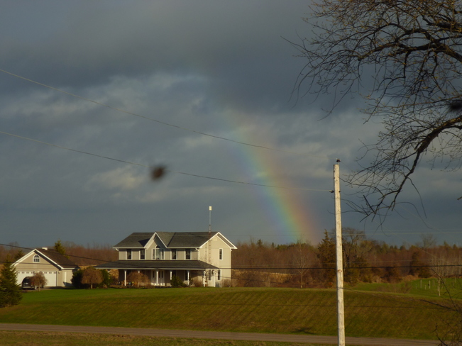 Bold Rainbow Campbellford/Seymour, Ontario Canada