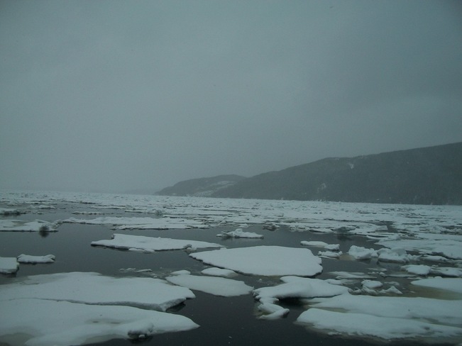 winter came back. Middle Arm, Newfoundland and Labrador Canada