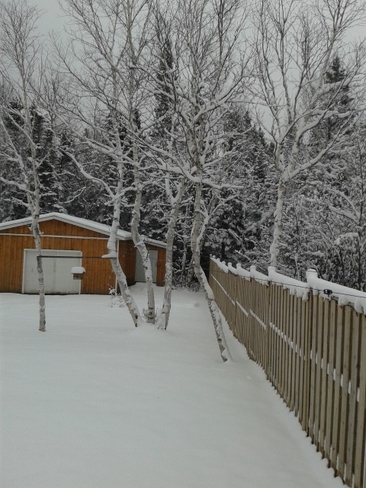 looks like Christmas outside Baytona, Newfoundland and Labrador Canada
