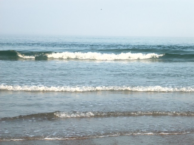 Beach Corolla, North Carolina United States