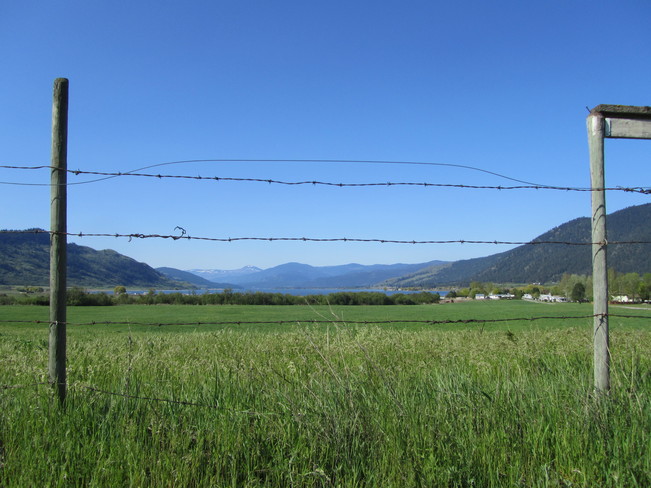 Barb wire fence Vernon, British Columbia Canada