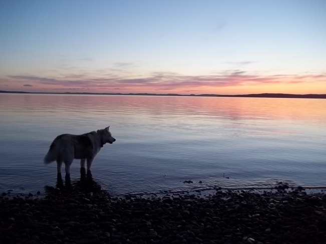 Sunset Watcher Birchy Bay, Newfoundland and Labrador Canada