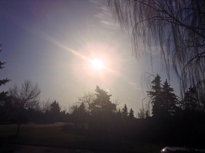 Morning Sunshine Edmonton, Alberta Canada