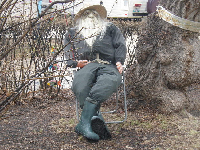 old man in the garden Winnipeg, Manitoba Canada