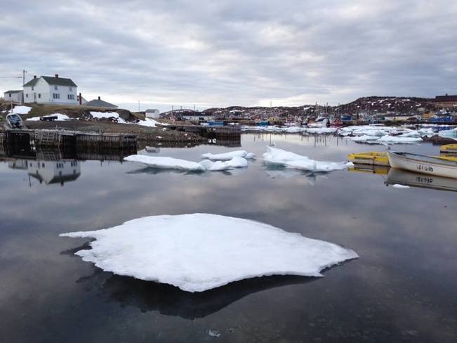 Ice in the Tickle! Twillingate, Newfoundland and Labrador Canada