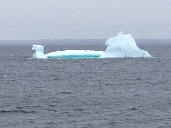 Iceberg hunting in CBS Kelligrews, Newfoundland and Labrador Canada