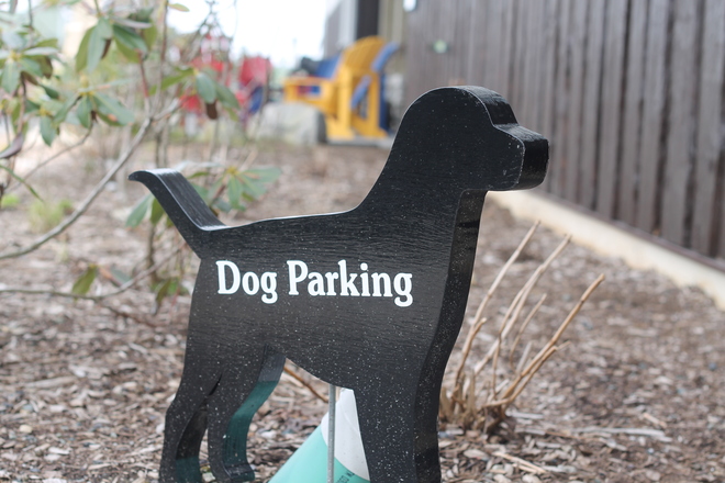 White Point VIP DOG Parking Liverpool, Nova Scotia Canada