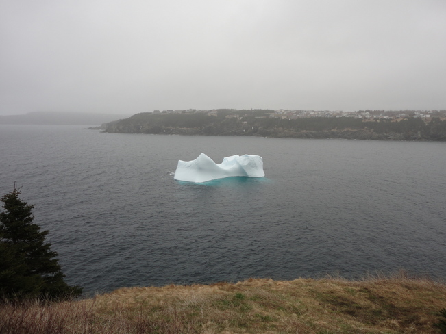 Iceberg in Torbay Torbay, Newfoundland and Labrador Canada
