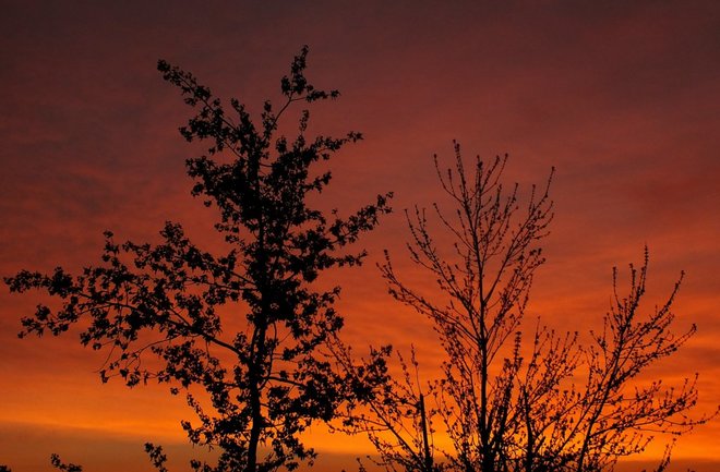 Morning sky. Georgetown, Ontario Canada
