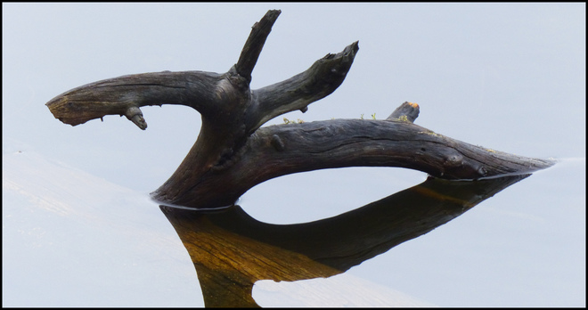 Sheriff Creek, wood sculpture on pond, Elliot Lake, Ontario Canada