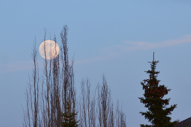Moon Edmonton, Alberta Canada