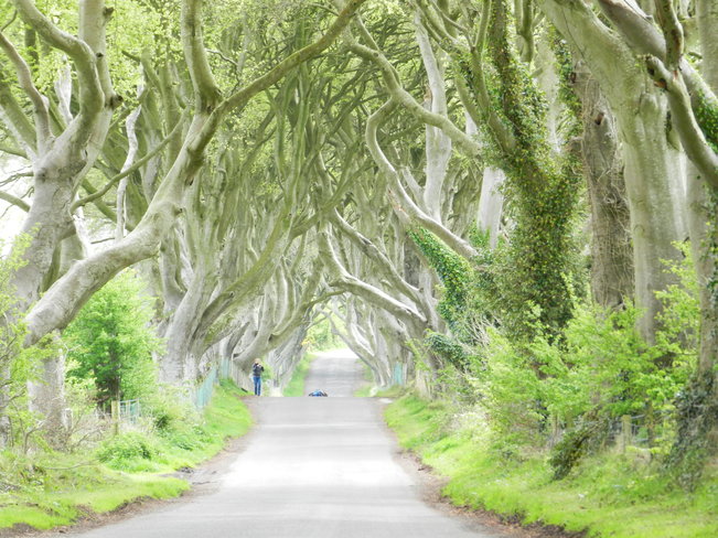 Location for 'Game of Thrones' Ballymoney, Northern Ireland United Kingdom