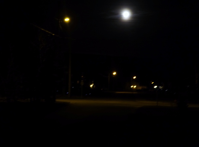 Moonlight Photo's 8 Antle Drive, Pasadena, NL A0L, Canada