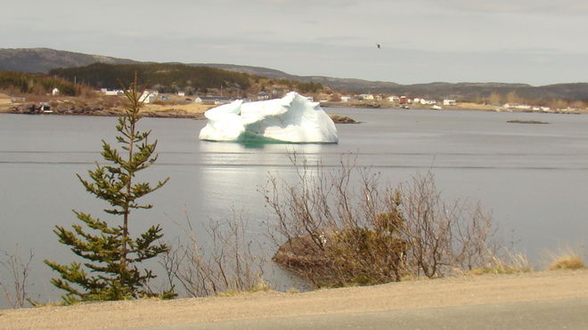 iceberg Catalina, Newfoundland and Labrador Canada