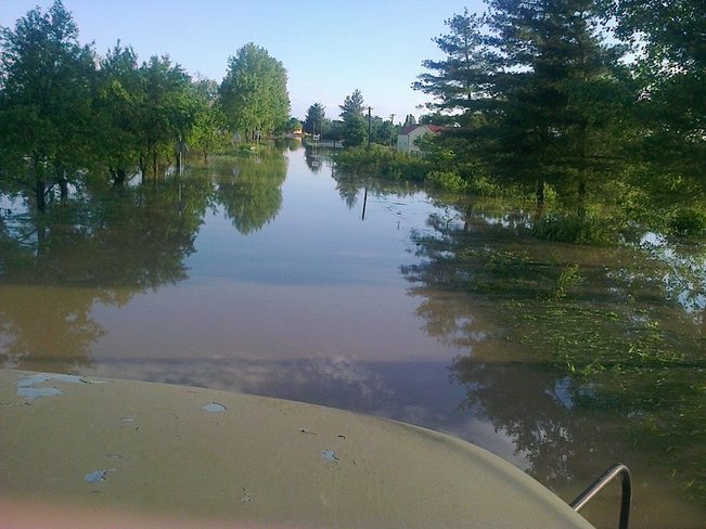 Flood Jamena, Vojvodina