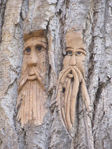 The Tree Wizards in Riverside Park in Kamloops. Kamloops, BC