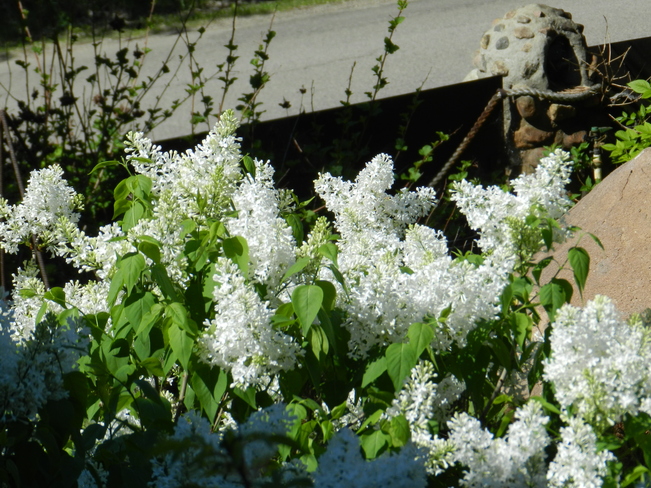 White Lilacs Resrt Village of B-Say-Tah, Fort Qu'Appelle, Saskatchewan