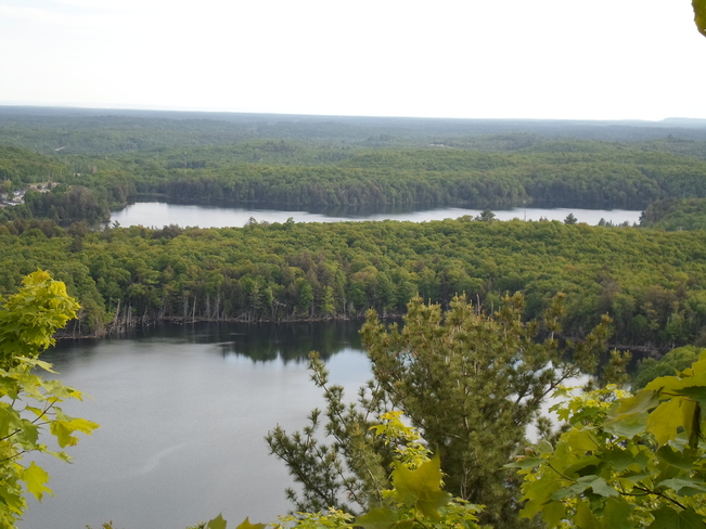 Scene From Fire Tower Lookout E.L. Elliot Lake, Ontario Canada