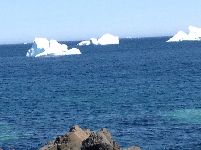 Icebergs of the coast of Bonivista NFLD Bonavista, NL