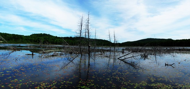Sherriff Creek Sanctuary Elliot Lake, ON