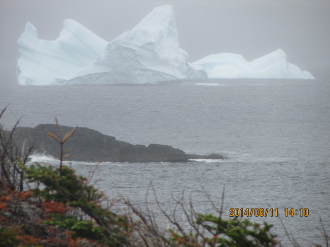 GOHSTLY IMAGES OUT OF THE FOG. NEWMANS COVE /AMHERST COVE NEWFOUNDLAND