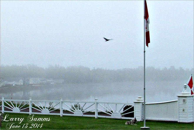 "Early Morning Fog" Springdale, Newfoundland and Labrador
