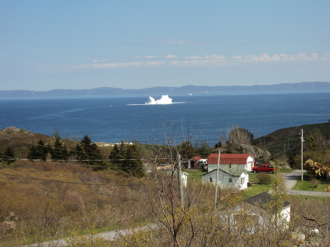 Iceberg in Spout Cove Area Carbonear, NL