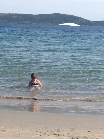 swimming with icebergs Sandy Cove, Newfoundland and Labrador Canada