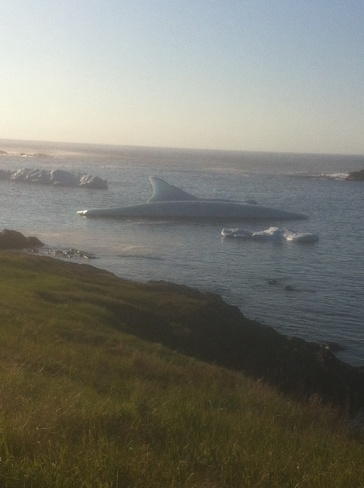 whale shape iceberg Fogo, Newfoundland and Labrador Canada