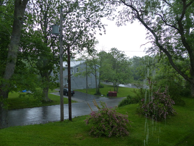 Rain Shelburne, NS