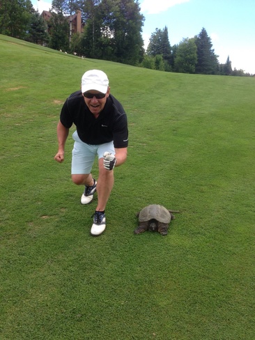 The Tortoise & The Golfer Mont-Tremblant, QC