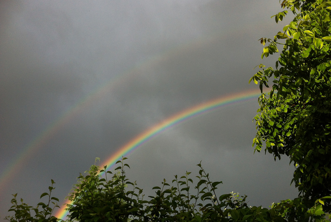 Double Rainbow Cumberland BC