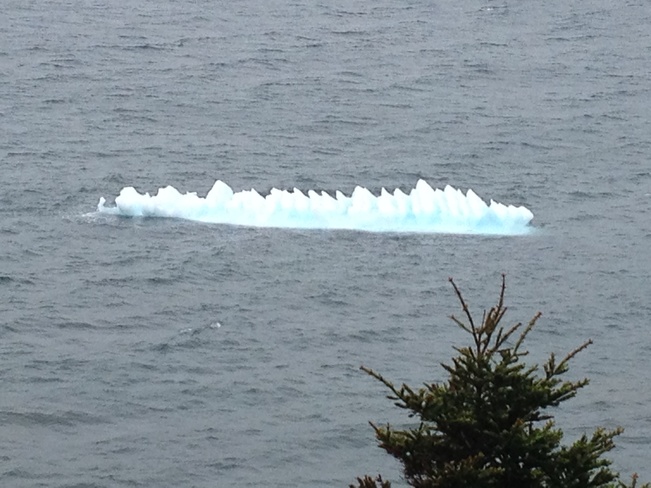 melting iceberg Harbour Grace, Newfoundland and Labrador Canada
