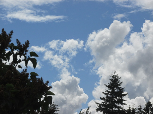 sky shapes Surrey, BC