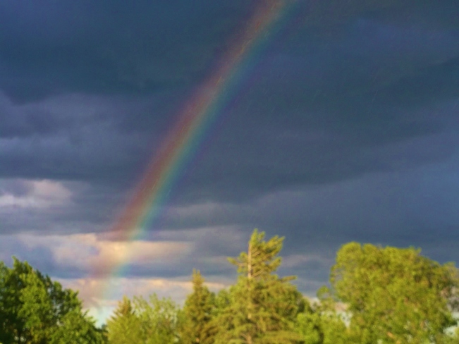Rainbows in Calgary Calgary, AB