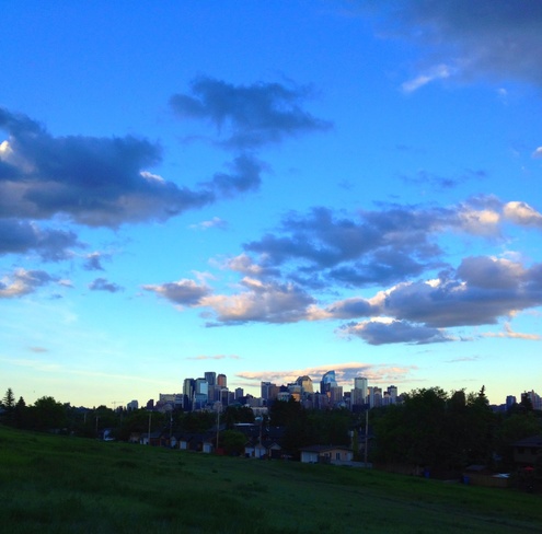 city bluez Calgary, Alberta Canada